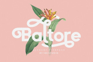 Baltore: A Refined Sans Serif Typeface for Modern Editorial Design