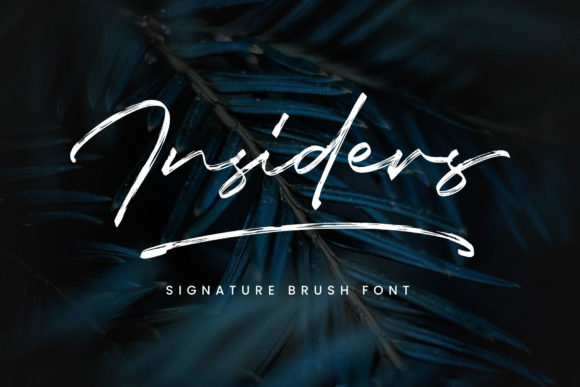 Insiders: The Script Font for Scroll-Stopping Brand Content