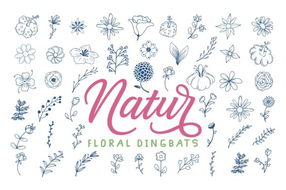 Natur Font: A Delicate Typeface for Branding